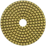 Polishing Pad – 4in Diamond Wet & Dry